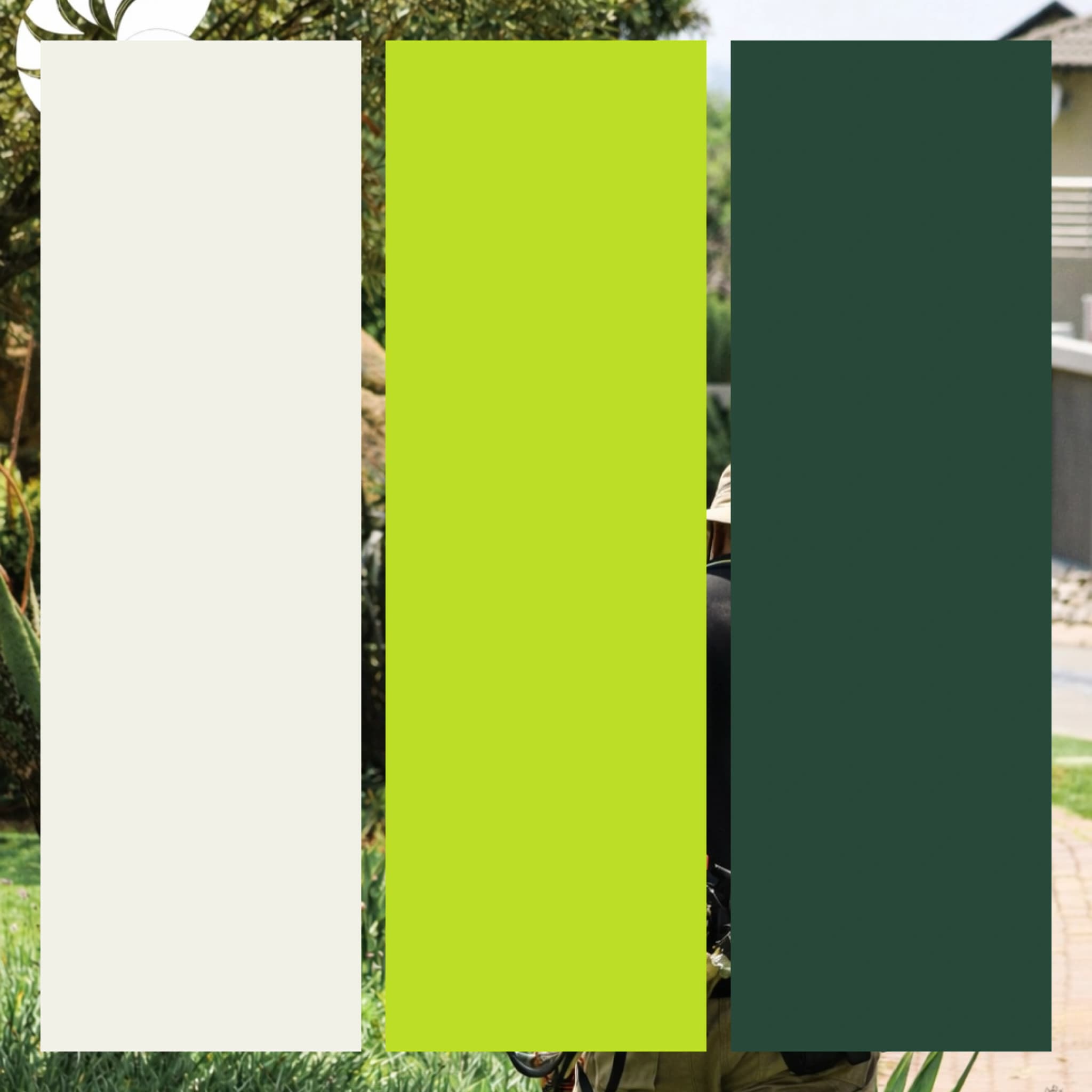 Brand element 1